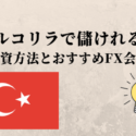 トルコリラ　儲ける